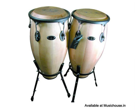 bongos-instrument-music-house-bangalore